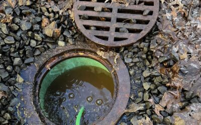 How Often Should Commercial Drains Be Cleaned