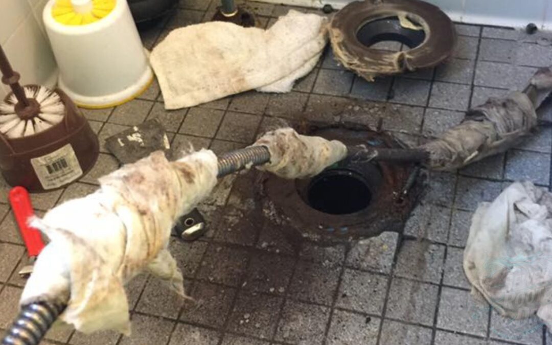 Emergency Plumber Milford: Trusted Expert During a Crisis